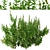 Thriving Trio: Common Nettle Plants 3D model small image 6