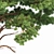 Pine Tree Bundle: High-Res, Professional 3D Models 3D model small image 2