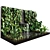 Serene Oasis: Plant Collection with Fountain 3D model small image 2