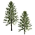 Araucaria Heterophylla: 2013 Version, 3D Model 3D model small image 2