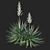 Sustainable Sisal Agave Crafts 3D model small image 2