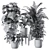 Premium Indoor Plants Set 3D model small image 2