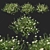 Vibrant Blooming Portulaca Grandiflora 3D model small image 1