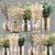 Stunning Collaction Indoor Plants 3D model small image 1