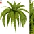 Botanical Bliss Collection 3D model small image 1