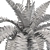 Botanical Bliss Collection 3D model small image 3