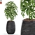 567 Plant Collection: Stunning and Versatile Greenery 3D model small image 1