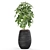 567 Plant Collection: Stunning and Versatile Greenery 3D model small image 2