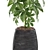 567 Plant Collection: Stunning and Versatile Greenery 3D model small image 3
