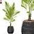 Green Oasis: Plants Collection 568 3D model small image 1