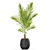 Green Oasis: Plants Collection 568 3D model small image 3