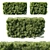 Podocarpus Macrophyllas 05: Elegant Indoor Plant 3D model small image 1
