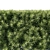 Podocarpus Macrophyllas 05: Elegant Indoor Plant 3D model small image 2