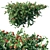 Luscious Lantana: Luxurious Floral Beauty 3D model small image 3