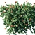 Luscious Lantana: Luxurious Floral Beauty 3D model small image 1