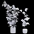 Realistic Rubber Fig Plant 3D model small image 3