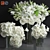 Elegant Glass Vase Collection 3D model small image 1