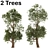 Trident Maple Tree: Eastern Beauty 3D model small image 6
