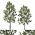 Premium Cedar Tree 3D Model 3D model small image 1