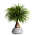 15-Piece Indoor Plant Set 3D model small image 9