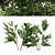 Unique Duo Hazel Trees: 4m & 3.7m 3D model small image 1