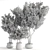 Lush Indoor Plant Collection 3D model small image 5