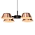 Elegant OLO Pendant Light 3D model small image 1