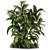 Outdoor Oasis Garden Set 3D model small image 5