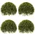 Premium Plant Collection: Exquisite and Optimal 3D model small image 1