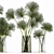 Greenery Delight: Cyperus Papyrus Bouquet 3D model small image 4