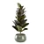 Enchanting Indoor Plants Collection 3D model small image 3