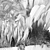 Botanical Bliss: 586 Stunning Plants 3D model small image 3