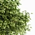 Elegant Gray Alder Tree: 3D Model 3D model small image 3