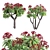 Euphorbia Atropurpurea 3D Model 3D model small image 1