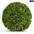 Sleek Spherical Bushes 3D model small image 1