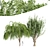 Cascade Willow Tree: Stunning 3D Model 3D model small image 1