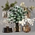 Green Oasis: Collaction Indoor Plants 3D model small image 1