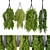 Indoor Balcony Ampelous Plant Collection Vol 253 3D model small image 1