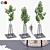 American Linden Seedlings in Tree Trunk Fence 3D model small image 1