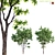 Walnut Tree 3D Model Bundle 3D model small image 1