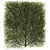 Optimal Plants Collection 3D model small image 2
