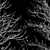 Winter Glow: Real Tree Acer 3D model small image 5