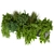 255 Indoor Balcony Ampelous Plant Collection 3D model small image 3