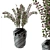 Plastic Pot Plants - Indoor Greenery 3D model small image 3