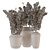 Plastic Pot Plants - Indoor Greenery 3D model small image 5