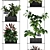 Vertical Garden: 72 Plant Varieties 3D model small image 5