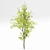 Real Tree Spring: High-Quality 3D Models 3D model small image 12