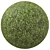 Seamless Moss Texture Bundle 3D model small image 1