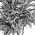 Tropical Bliss - Palm Tree Trio 3D model small image 5