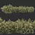 Premium Quality Bush Plant 3D model small image 1